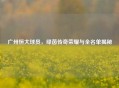 广州恒大球员，绿茵传奇荣耀与全名单揭秘