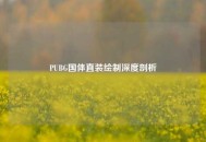 PUBG国体直装绘制深度剖析