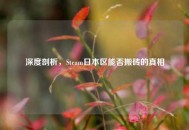 深度剖析，Steam日本区能否搬砖的真相
