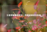 王者荣耀廉颇教学，肉盾战神战斗指南