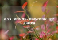 诺瓦克·德约科维奇，网球场上的传奇王者个人资料揭秘