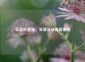 日皇杯直播，呈现足球盛宴赛程
