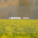 CF霰弹利器，XM1014