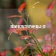 揭秘瓦妮莎的绝美之姿
