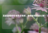 英超直播观看渠道全揭秘，哪里能看英超比赛？