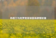 苏格兰与克罗地亚绿茵场***较量
