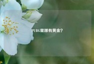 PUBG里哪有黄金？