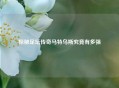 探秘足坛传奇马特乌斯究竟有多强