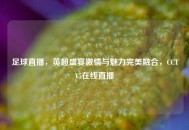 足球直播，英超盛宴***与魅力完美融合，CCTV5在线直播