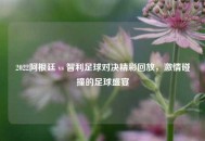 2022阿根廷 vs 智利足球对决精彩回放，***碰撞的足球盛宴