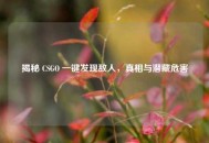 揭秘 CSGO 一键发现敌人，真相与潜藏危害