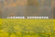 2025年亚洲预选赛，足球梦想的逐梦战场