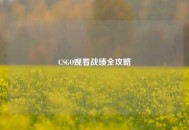 CSGO观看战绩全攻略