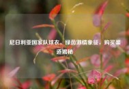 尼日利亚国家队球衣，绿茵***象征，购买渠道揭秘