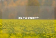 谁是王者荣耀霸主？