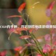 CSGO内手柄，开启别样射击游戏体验