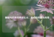朝鲜与巴西世界杯比分，背后的热血与传奇
