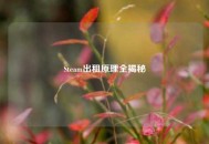 Steam出租原理全揭秘