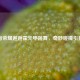 王者荣耀邂逅霍元甲跳舞，奇妙碰撞引狂欢