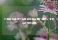 丹麦队与英格兰队比分预测及盘口分析，实力与战术的碰撞
