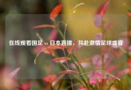 在线观看国足 vs 日本直播，共赴***足球盛宴