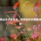 伦敦奥运会火炬传递，跨越时空的     路线之旅