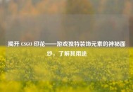 揭开 CSGO 印花——游戏独特装饰元素的神秘面纱，了解其用途