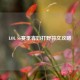 LOL S6赛季寡妇打野符文攻略