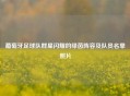 葡萄牙足球队群星闪耀的绿茵阵容及队员名单照片