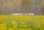 一文揭晓适合打 PUBG 的平板