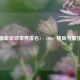 最新足球世界排名1 - 100，格局与展望