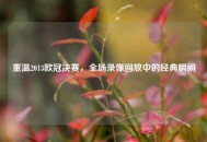重温2013欧冠决赛，全场录像回放中的经典瞬间