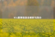 WTA赛事级别全解析与划分