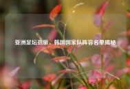 亚洲足坛劲旅，韩国国家队阵容名单揭秘
