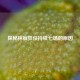 探秘林疯狂仅持续七场的原因