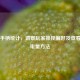 Steam手柄统计，洞察玩家操控偏好及查看手柄电量     