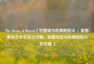 The Steam of Hatred（可直译为仇恨的怒火 ，若想更符合中文表达习惯，标题可定为仇恨的怒火在升腾 ）