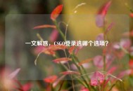 一文解惑，CSGO登录选哪个选项？