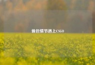 偷包情节遇上CSGO