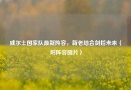 威尔士国家队最新阵容，新老结合剑指未来（附阵容图片）