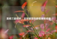 英格兰超级杯，足球盛宴的***赛程碰撞