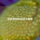 逆战龙凤开启战火传奇