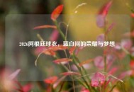 2026阿根廷球衣，蓝白间的荣耀与梦想
