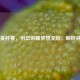 苏迪曼杯赛，羽坛荣耀梦想交织，解析其赛制