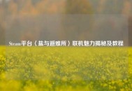 Steam平台〈盐与避难所〉联机魅力揭秘及教程