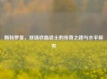 斯特罗曼，球场铁血战士的传奇之路与水平探究