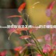 Steam游戏取消及关闭Steam的详细指南