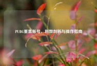 PUBG重置账号，利弊剖析与操作指南