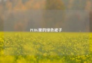 PUBG里的绿色裙子