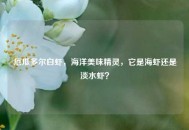 厄瓜多尔白虾，海洋美味精灵，它是海虾还是淡水虾？